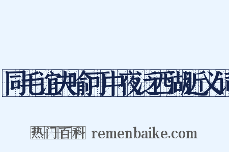 同毛谊夫喻可中夜泛西湖近义词是什么意思的图片